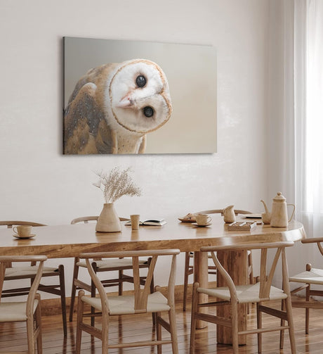 Paul Sinus Wandbild 120x80cm Schleiereule Eule mit geneigten Kopf Tierfotografie