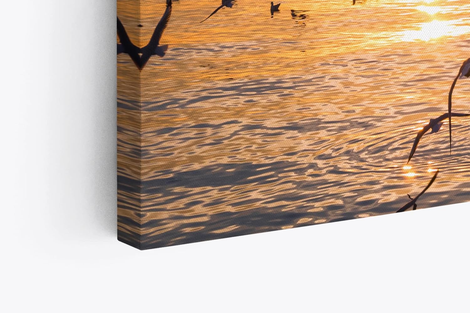 Paul Sinus Wandbild 120x80cm Meer Sonnenuntergang Möwen Horizont Himmel