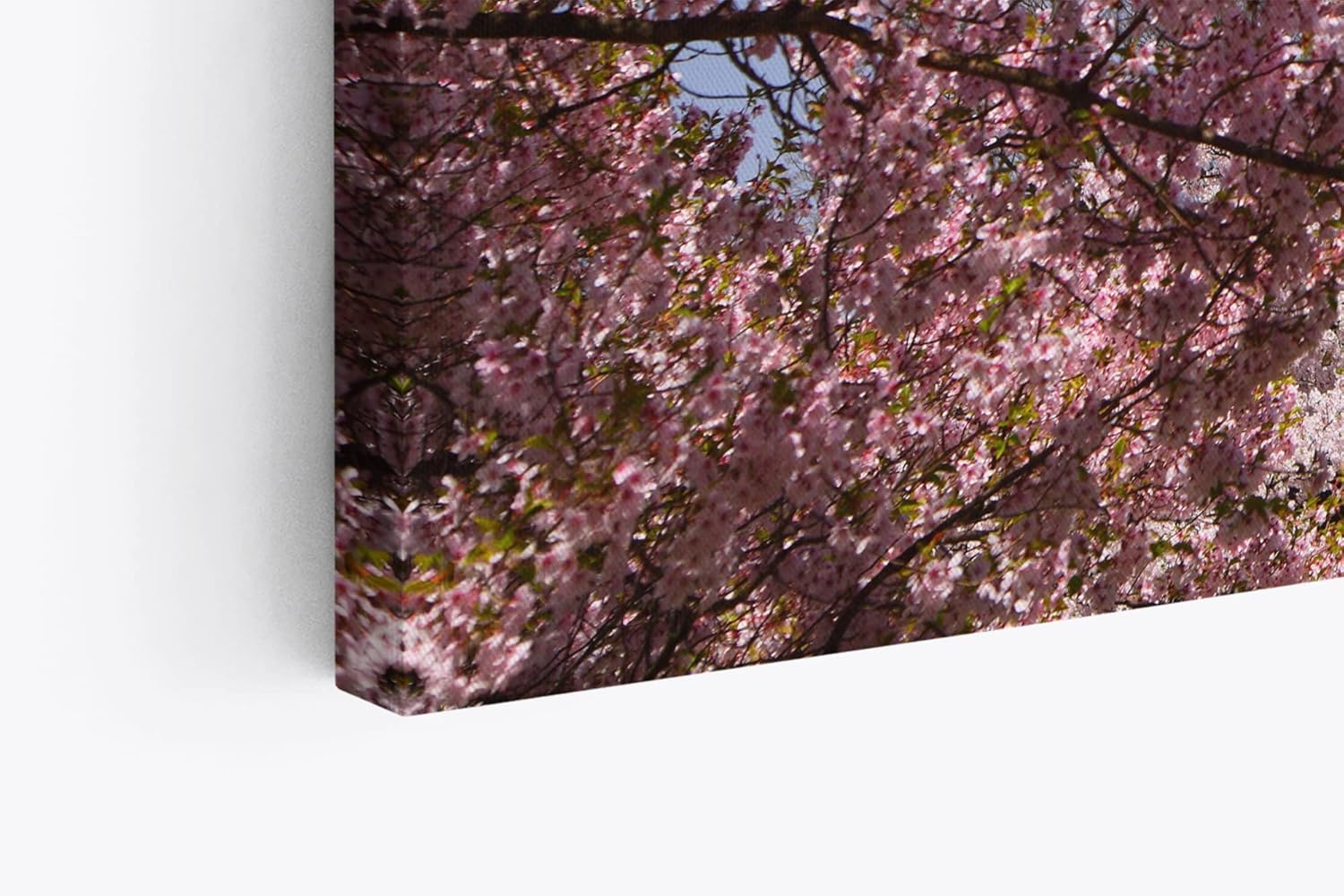 Paul Sinus Wandbild 120x80cm Burg Aizu-Wakamatsu Kranichburg japanisches Schloss Japan