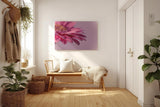 Sinus Art Wandbild 120x80cm Faszinierende Nahaufnahme einer rosa Blüte für eine elegante und ruhige Raumwirkung