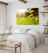 Paul Sinus Wandbild 120x80cm Sommerwiese Löwenzahn Schmetterling Gras Wiese