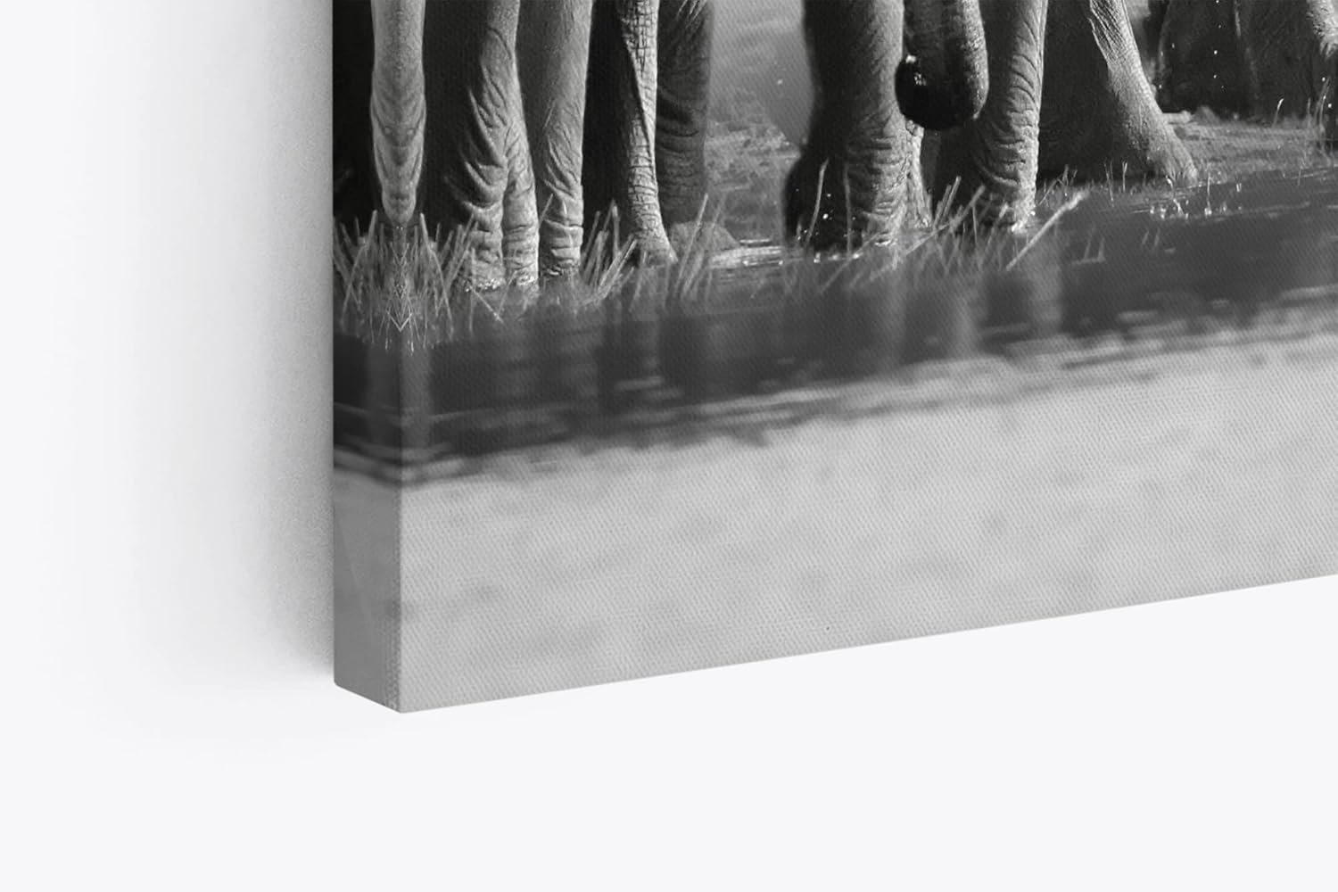 Paul Sinus Wandbild 120x80cm Schwarz Weiß Fotografie Elefanten Elefantenherde Tierfotografie
