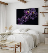 Paul Sinus Wandbild 120x80cm Dunkele Orchidee Blume Blüte Schwarz Fotokunst