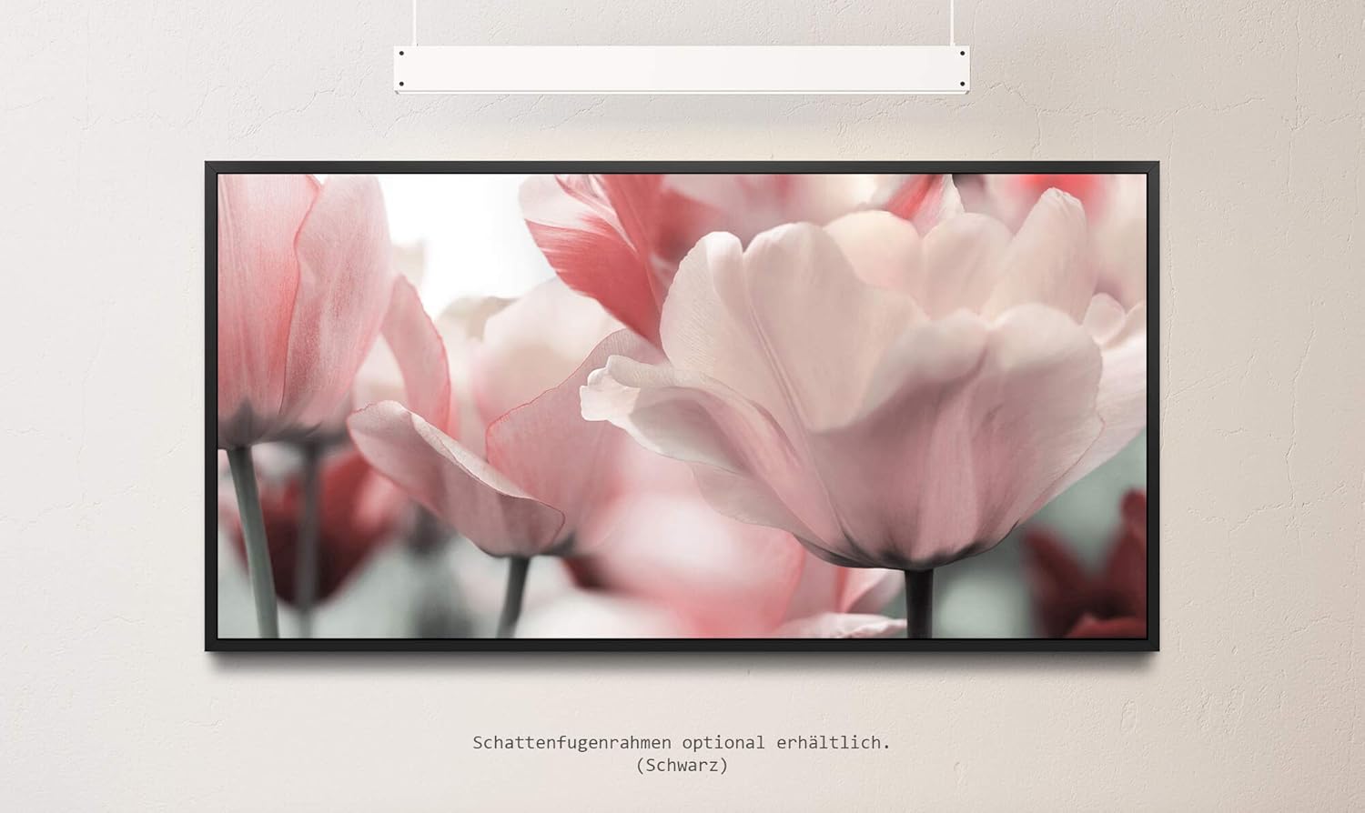 Tulpen ca. 130x70cm Wandbild inklusive Schattenfugenrahmen schwarz - Panorama Leinwand Bild XXL Format Wandbilder Wohnzimmer Wohnung Deko Kunstdrucke