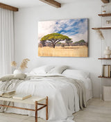 Paul Sinus Wandbild 120x80cm Afrikanische Landschaft Burkea Africana Bäume Sonnenuntergang
