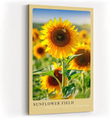 Paul Sinus Kunstdruck 40x60cm Sunflower Field – leuchtendes Sonnenblumenfeld mit Schmetterling