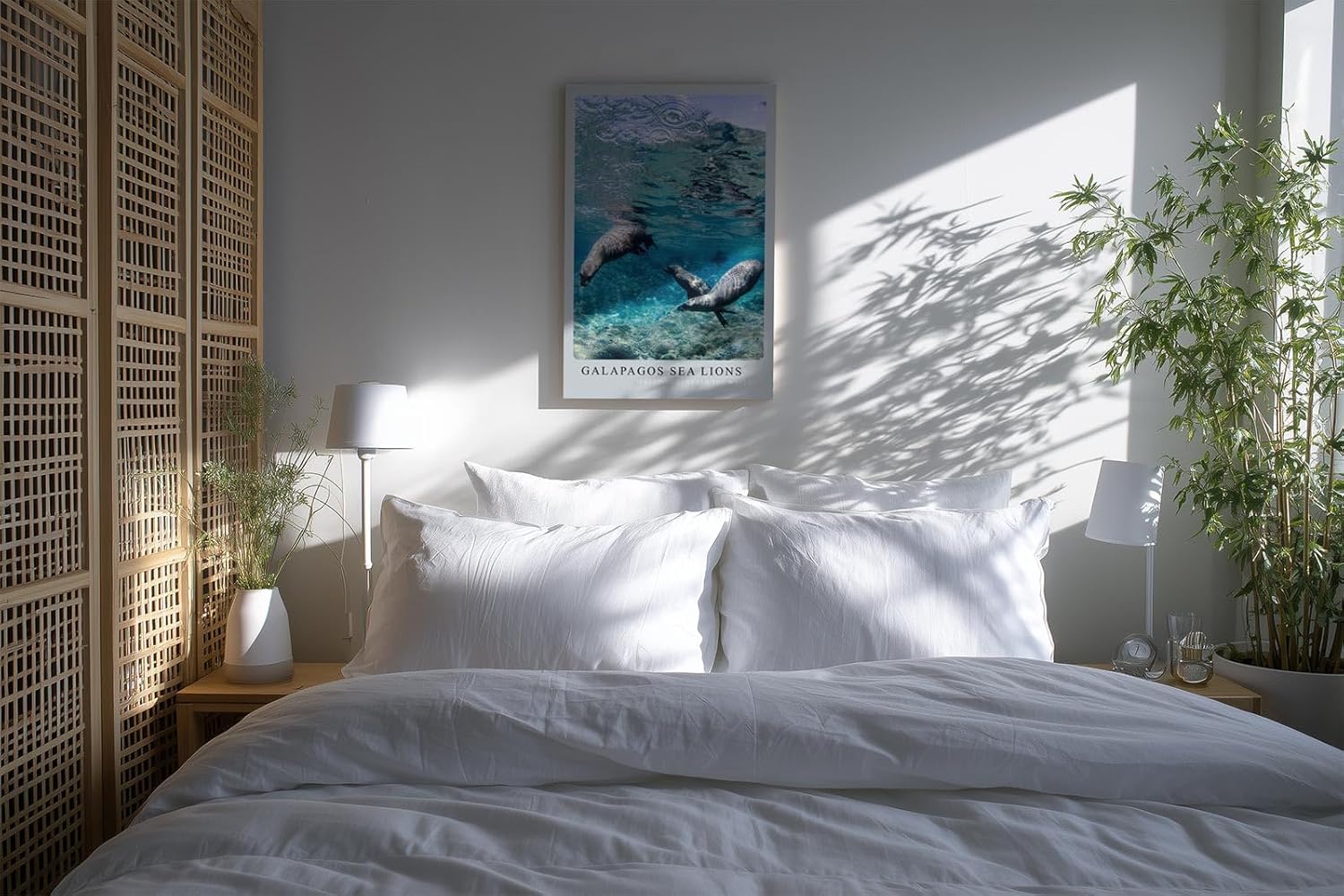 Paul Sinus Kunstdruck 40x60cm Galapagos Sea Lions – Verspielte Seelöwen unter Wasser in tropischem Blau