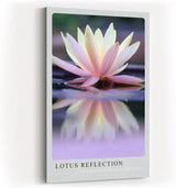 Paul Sinus Kunstdruck 40x60cm Lotus Blume Wasser Spiegelung Ruhe Zen Meditativ Lotus Reflection