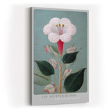 Paul Sinus Wandbild in 40x60cm The Spotted Bloom Botanische Illustration einer weißen Blüte mit roten Punkten und grünen Blättern