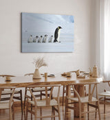 Paul Sinus Wandbild 120x80cm Pinguine Babypinguine Kaiserpinguin Schnee Tierfotografie