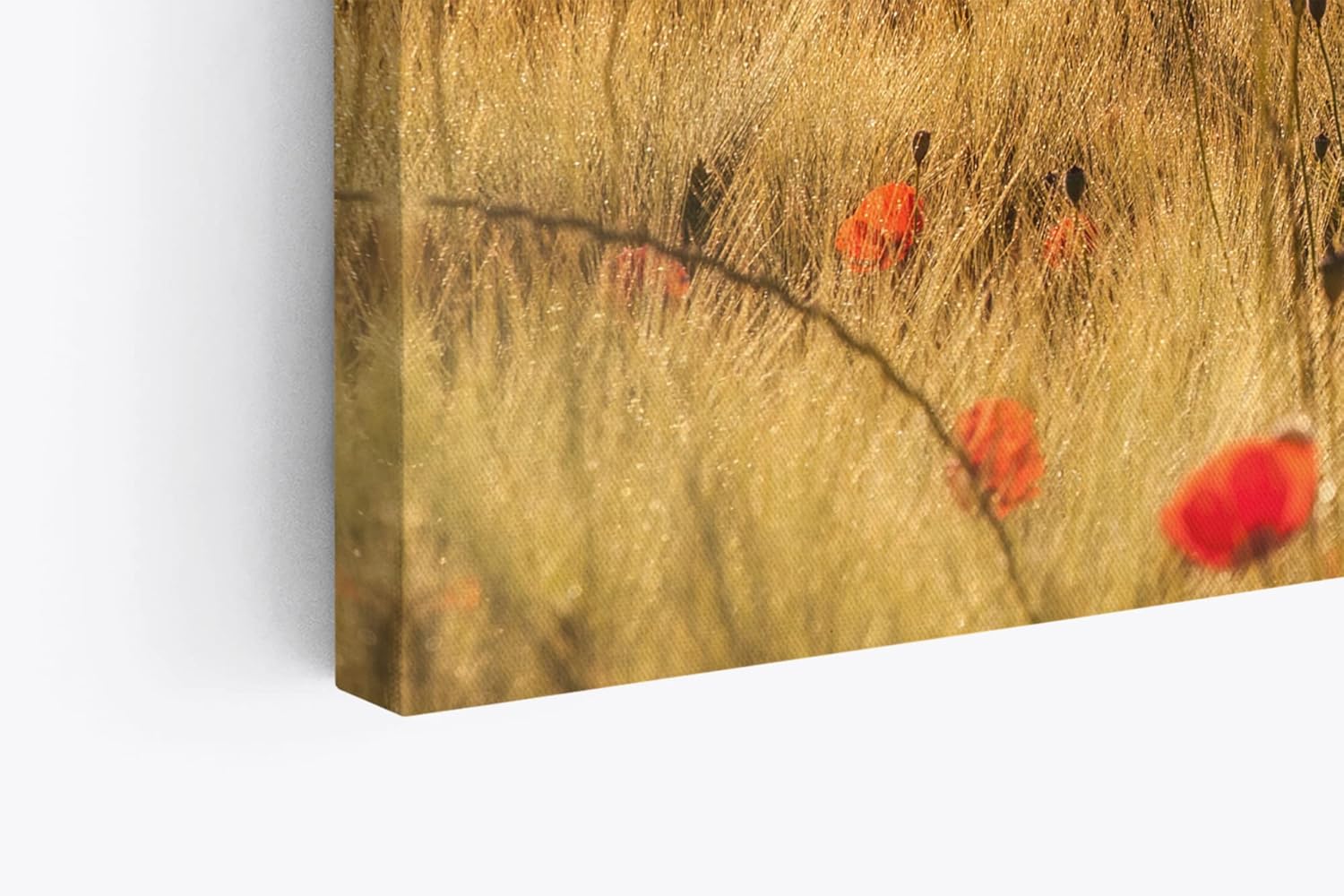 Paul Sinus Wandbild 120x80cm Feldblumen Wildblumen Mohn rote Blüten Halme