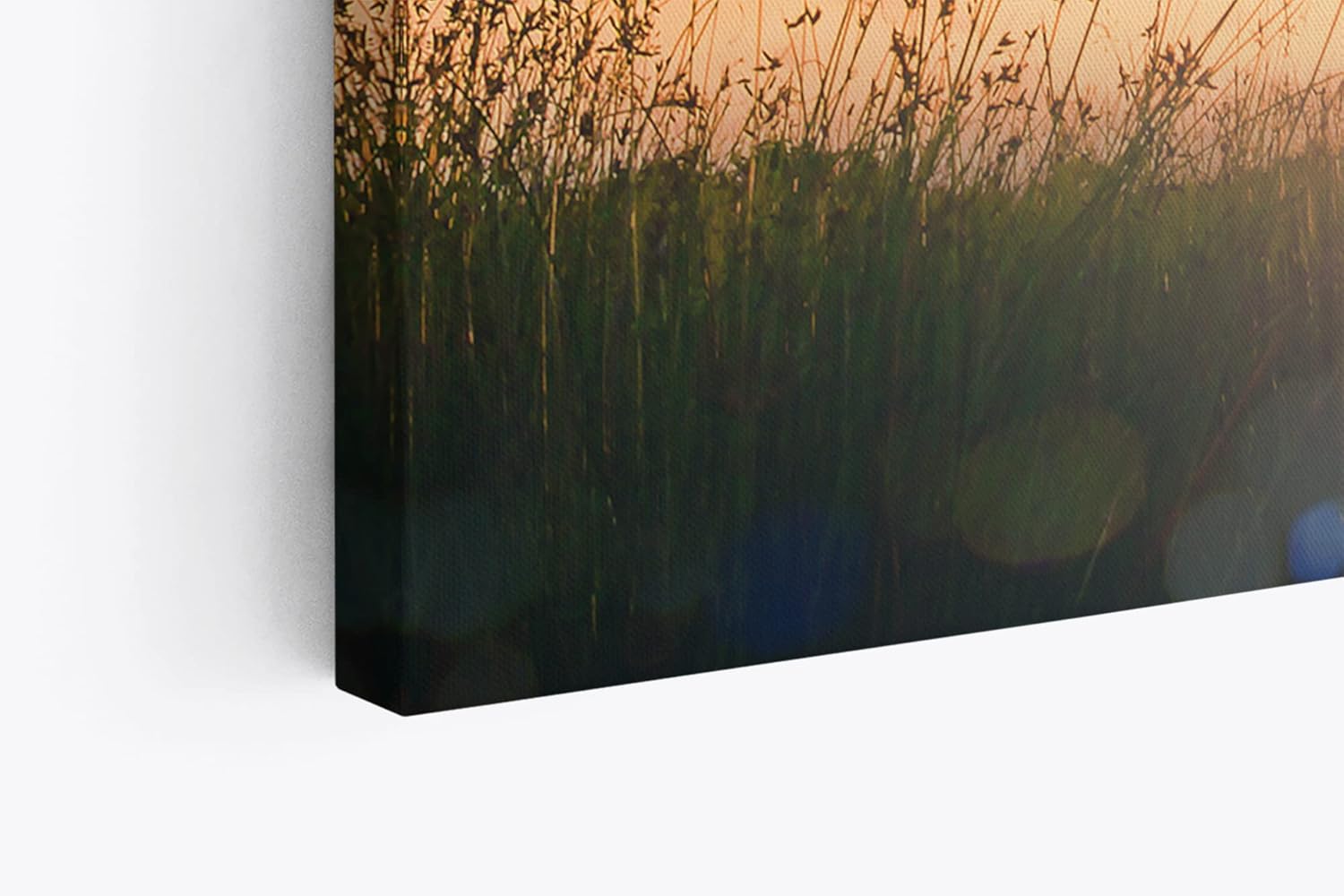 Paul Sinus Wandbild 120x80cm Sommerwiese Sonnenuntergang Vögel Halme Natur