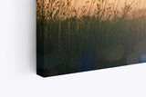 Paul Sinus Wandbild 120x80cm Sommerwiese Sonnenuntergang Vögel Halme Natur