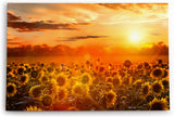 Paul Sinus Wandbild 120x80cm Sonnenblumen Blumenfeld Sonnenblumenfeld Sonne Gelb