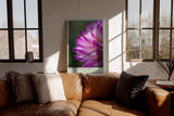 Paul Sinus Wandbild in 40x60cm Petals of the Morning – zarte Nahaufnahme einer pink-violetten Blüte mit Tautropfen für frische Raumakzente