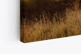 Paul Sinus Wandbild 120x80cm Elefanten Elefantenherde Afrika Natur Landschaft Sonne