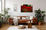 Sinus Art Wandbild 120x80cm Leuchtend rote Mohnblumen im weichen Licht – symbolstark, lebendig und zeitlos