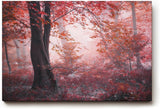 Sinus Art Wandbild 120x80cm Roter Herbstwald mit dichter Vegetation und nebligem Licht – geheimnisvoll und bezaubernd