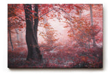Sinus Art Wandbild 120x80cm Roter Herbstwald mit dichter Vegetation und nebligem Licht – geheimnisvoll und bezaubernd