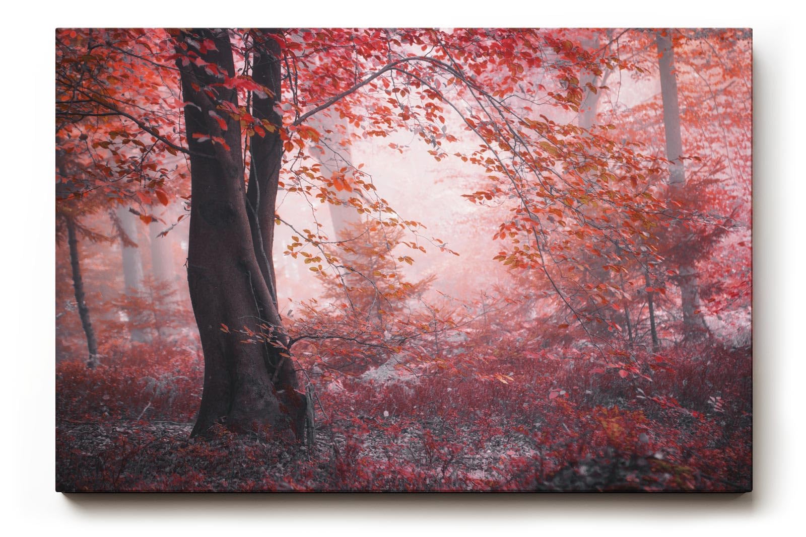 Sinus Art Wandbild 120x80cm Roter Herbstwald mit dichter Vegetation und nebligem Licht – geheimnisvoll und bezaubernd