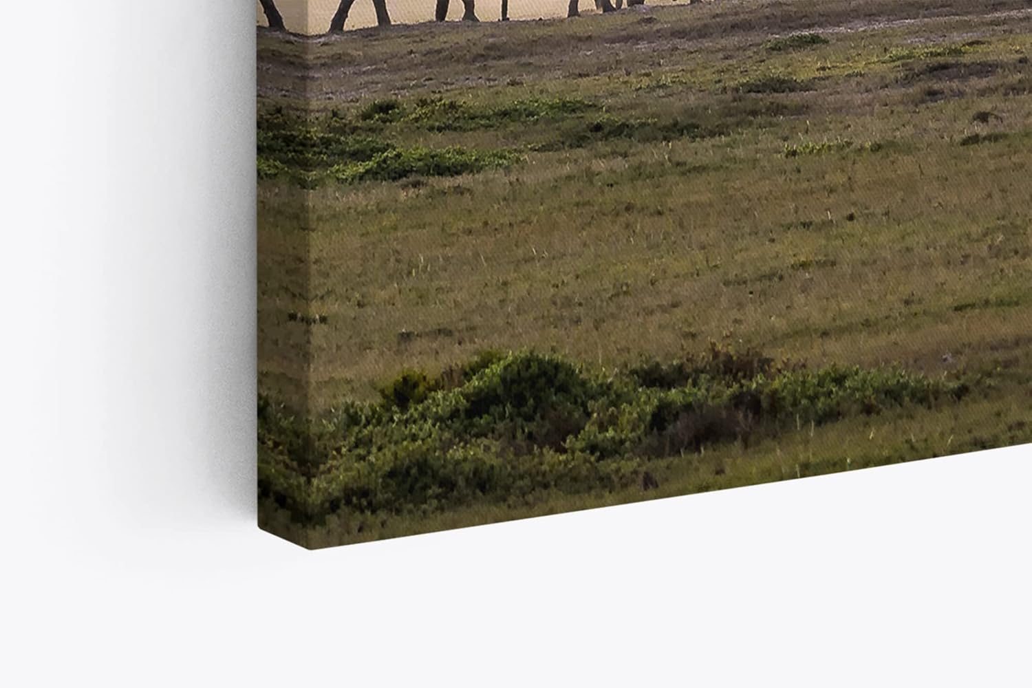 Paul Sinus Wandbild 120x80cm Elefantenherde Elefanten Afrika Tierfotografie Landschaft