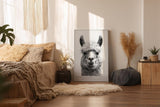 Paul Sinus Wandbild in 40x60cm Bad Hair Llama – humorvolles Lama-Porträt in Schwarz-Weiß mit witzigem Ausdruck