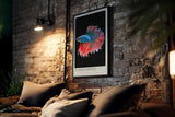 Paul Sinus Kunstdruck 40x60cm Kampffisch mit flammenden Flossen – Farben in perfekter Bewegung eingefangen