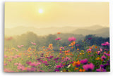 Paul Sinus Wandbild 120x80cm Wildblumen Blüten Blumen Blumenwiese Sonnenschein