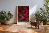 Paul Sinus Kunstdruck 40x60cm Red Succulent Bloom – Feuerrote Sukkulente in Nahaufnahme als modernes Kunstwerk