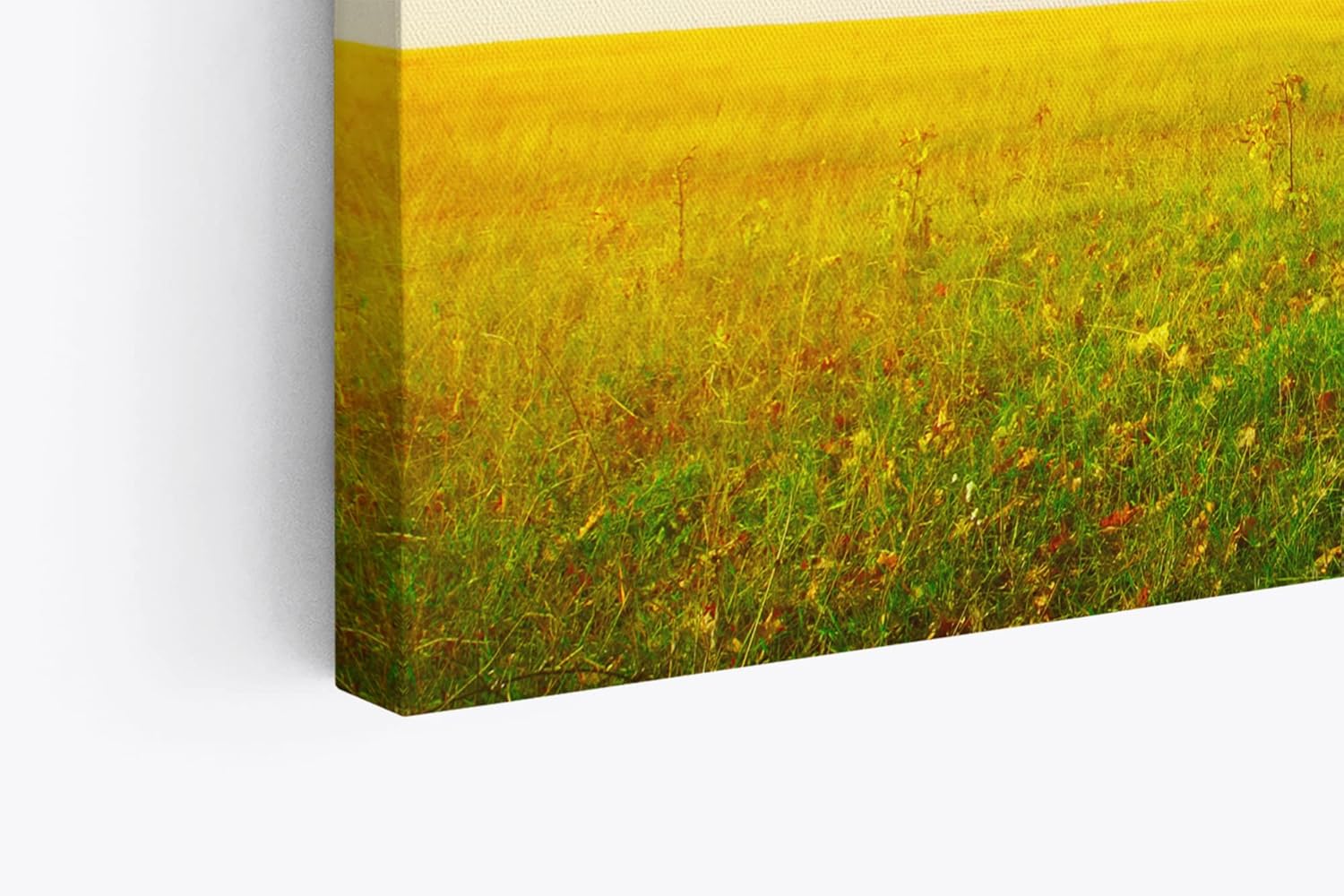 Wandbild 120x80cm Große Eiche Baum Natur Feld Landschaft Horizont
