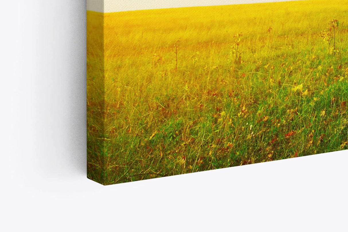 Wandbild 120x80cm Große Eiche Baum Natur Feld Landschaft Horizont