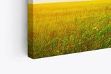 Wandbild 120x80cm Große Eiche Baum Natur Feld Landschaft Horizont