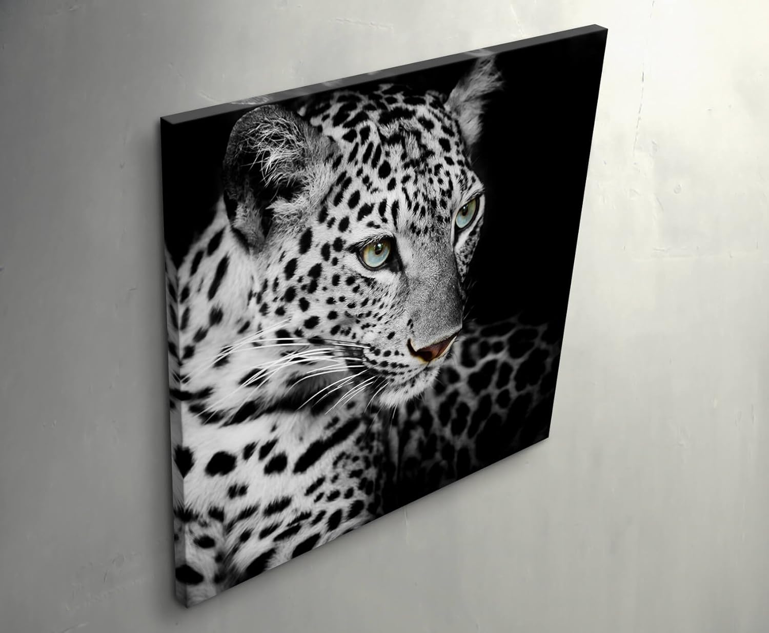 Paul Sinus Art Leinwandbilder | Bilder Leinwand 60x60cm Portrait eines liegenden Leoparden schwarzweiß