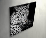 Paul Sinus Art Leinwandbilder | Bilder Leinwand 60x60cm Portrait eines liegenden Leoparden schwarzweiß