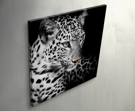 Paul Sinus Art Leinwandbilder | Bilder Leinwand 60x60cm Portrait eines liegenden Leoparden schwarzweiß