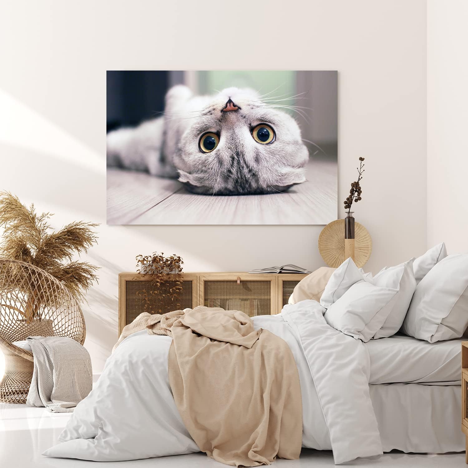 Paul Sinus Wandbild 120x80cm Katze Kätzchen Kater Katzenbaby Britisch Kurzhaar