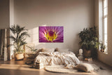 Sinus Art Wandbild 120x80cm Lotusblume in Violett mit leuchtendem Inneren – kraftvoll, symbolisch und beruhigend