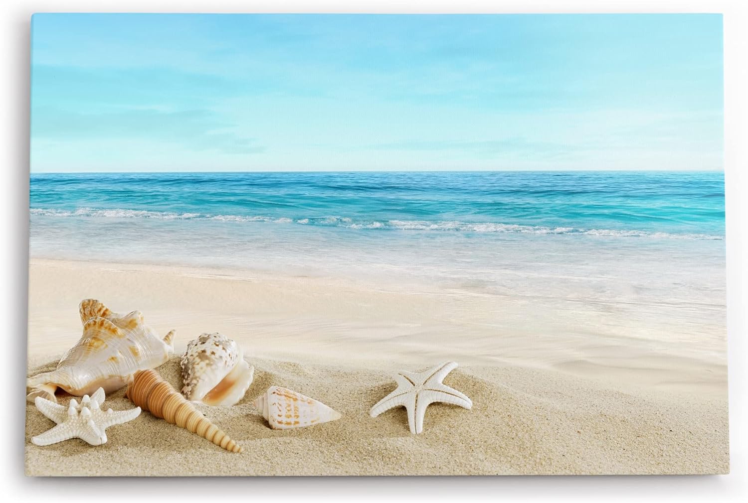 Paul Sinus Wandbild 120x80cm Meer Sandstrand Strand Seesterne Muscheln Sommer