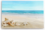 Paul Sinus Wandbild 120x80cm Meer Sandstrand Strand Seesterne Muscheln Sommer