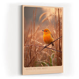 Paul Sinus Wandbild in 40x60cm Oranger Singvogel im Morgentau mit goldener Lichtstimmung