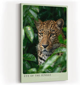 Paul Sinus Wandbild in 40x60cm Eye of the Jungle – Nahaufnahme eines Leoparden im dichten Blätterdach