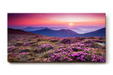 Sinus Art Wandbild 120x80cm Farbintensive Blumenwiese mit lila Blüten unter farbenfrohem Abendhimmel