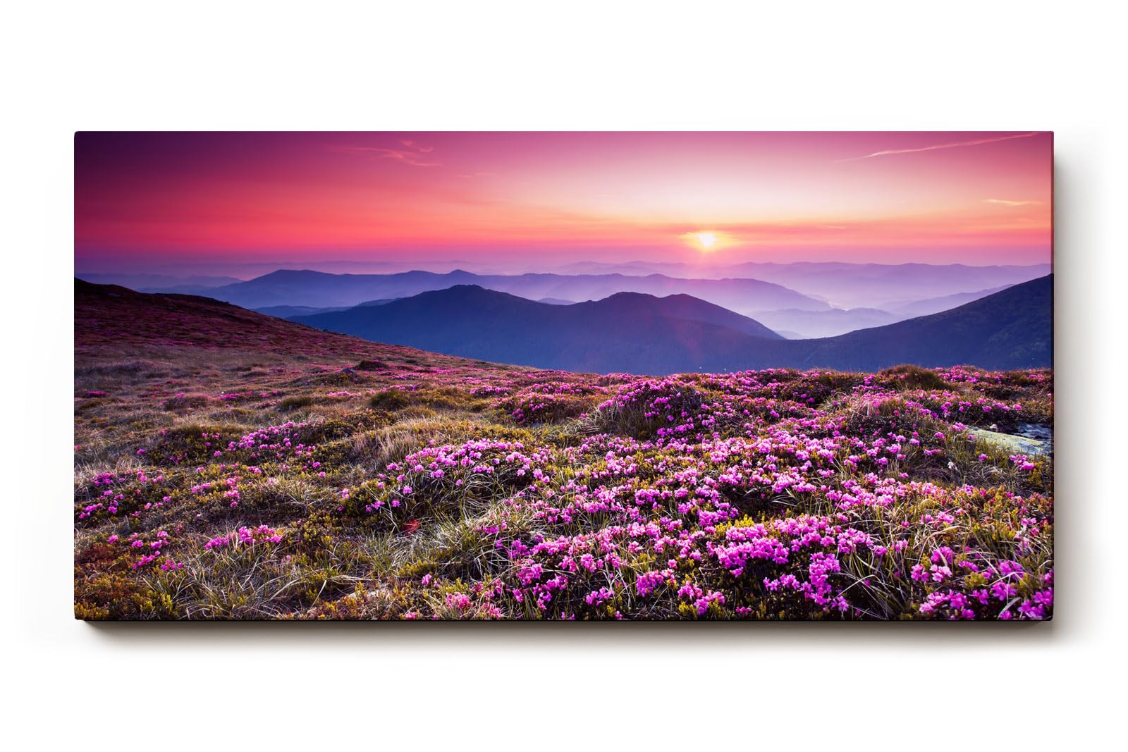 Sinus Art Wandbild 120x80cm Farbintensive Blumenwiese mit lila Blüten unter farbenfrohem Abendhimmel