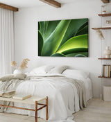 Paul Sinus Wandbild 120x80cm Pflanze Grün Nahaufnahme Fotokunst Natur Dekorativ