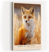 Paul Sinus Wandbild in 40x60cm Spirit of the Field – Naturgetreues Fuchs­porträt im goldenen Feldlicht