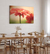 Paul Sinus Wandbild 120x80cm Gerbera Blume Blüte Rot Nahaufnahme Kunstvoll Tropfen