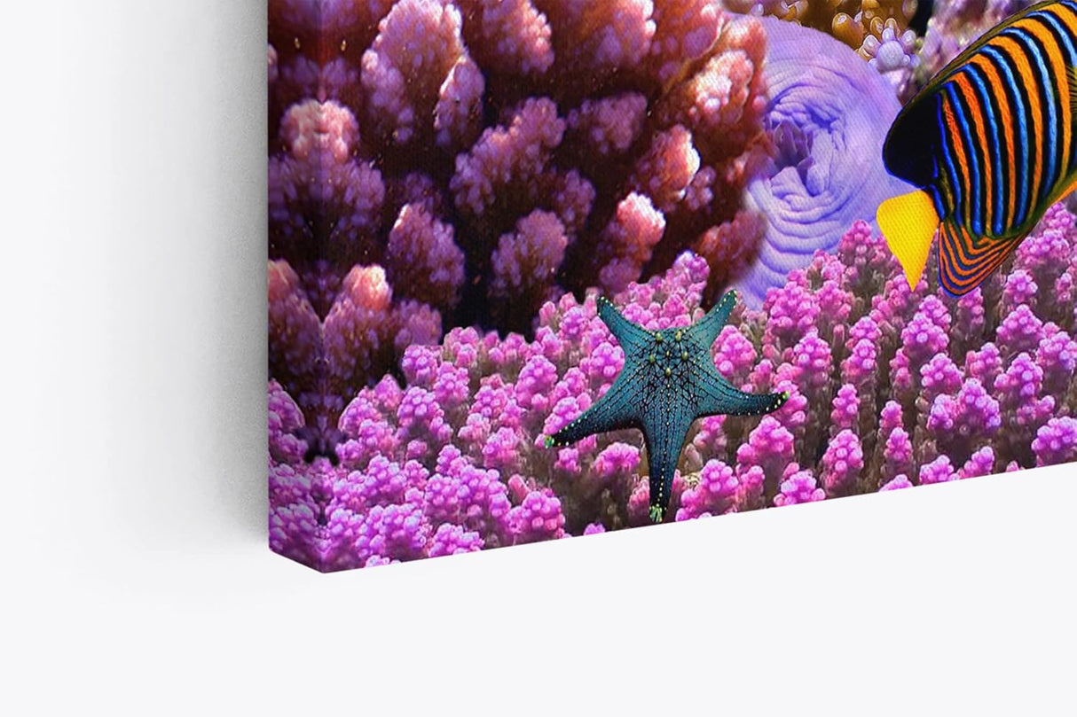 Paul Sinus Wandbild 120x80cm Unterwasserwelt Korallen Fische Meer Farbenfroh