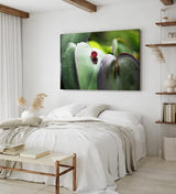 Paul Sinus Wandbild 120x80cm Makrofotografie Blume Blüte Blätter Nahaufnahme