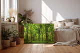 Sinus Art Wandbild 120x80cm Dichte Baumreihen und leuchtendes Laub schaffen eine friedliche, harmonische Stimmung