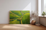 Sinus Art Wandbild 120x80cm Atemberaubende Luftaufnahme mit geometrisch verlaufenden Baumreihen auf sattem Grün